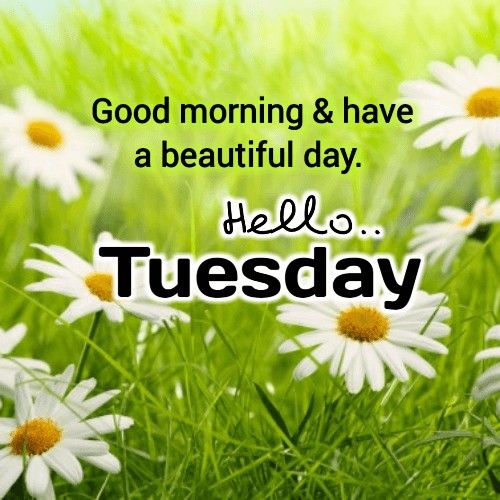 Best Tuesday Good Morning Images 11