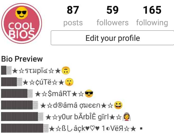 Bio For Instagram For Girl Attitude