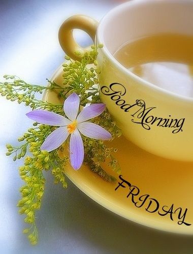 Good Morning Friday Images for Twitter 12