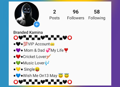 Instagram VIP Bio3
