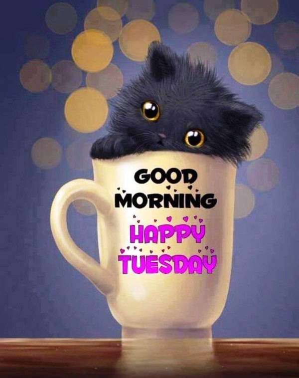 Tuesday Good Morning Images HD 3