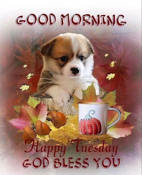 Tuesday Good Morning Images HD 5