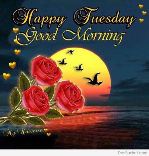 Tuesday Good Morning Images HD 9