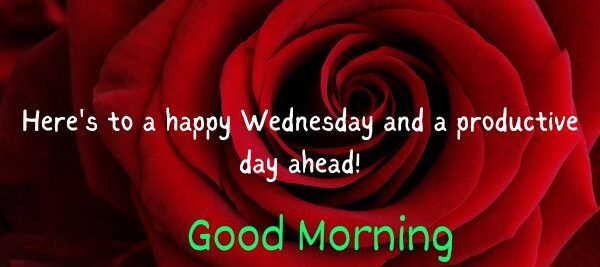 Good Morning With Wednesday 4