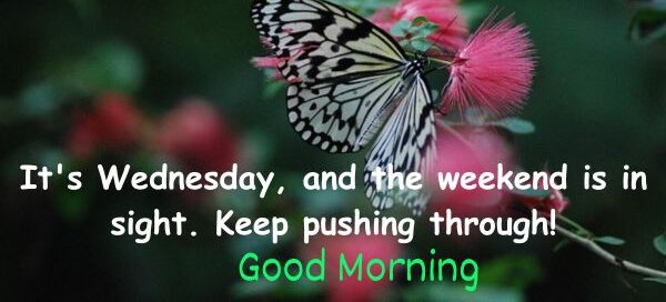 Good Morning With Wednesday 5