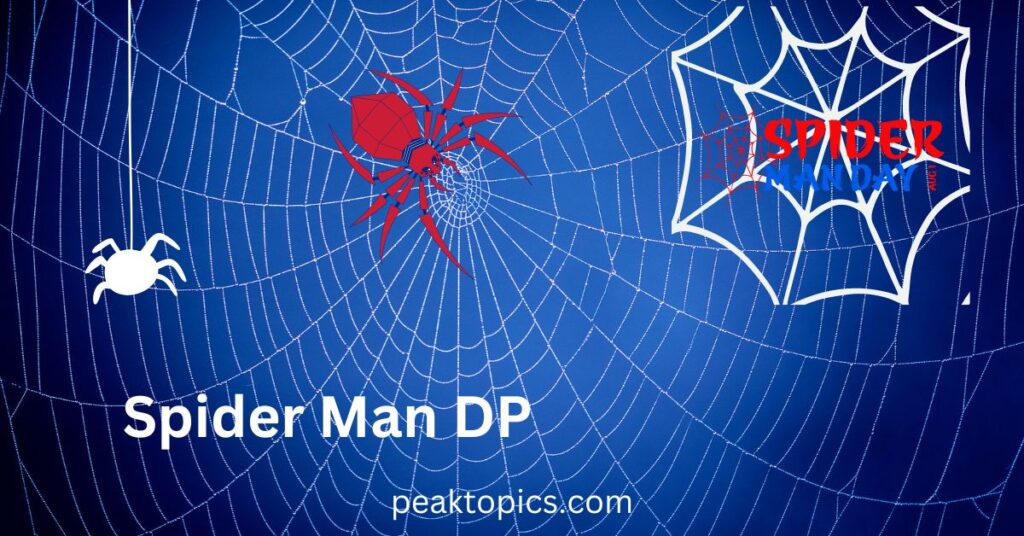 Spider man dp