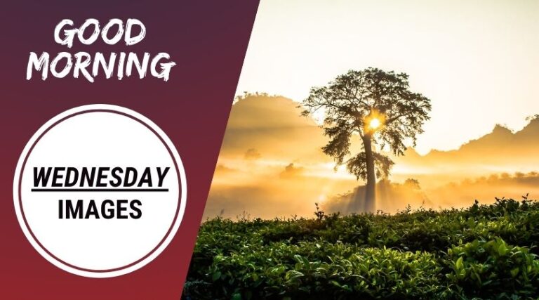 good-morning-wednesday-images-768x427