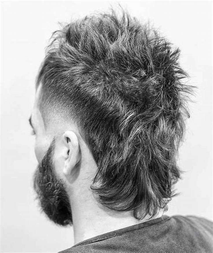 Exquisite Burst Fade Mullet Hairstyles2