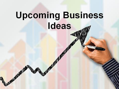 10 Best Business Ideas in the USA for Indians2