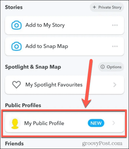 Make a Public Profile on Snap1