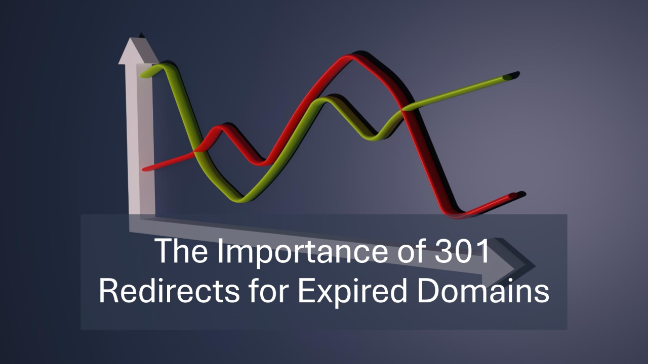 301 Redirect Expired Domains3